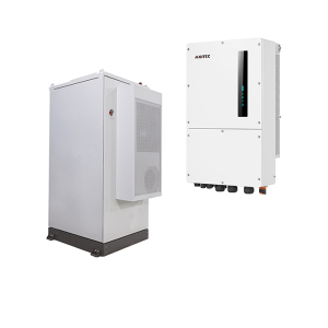 BYD Max Lite 30 + AXIhycon 29.9H