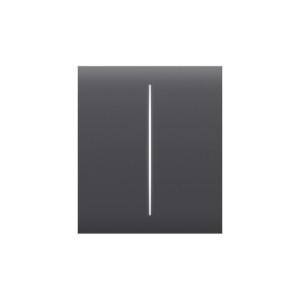 Ajax CenterButton (2-gang) grafiet