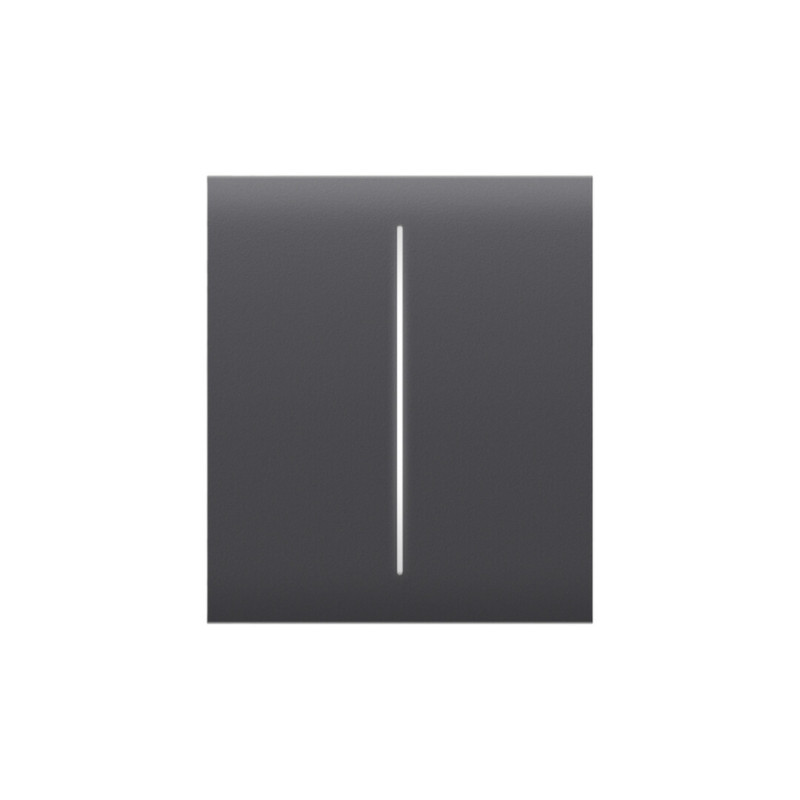 Ajax CenterButton (2-gang) grafiet