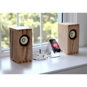 Marmitek BoomBoom 460 Digitaal verst. 2x20W 4 Ohm Aux-input